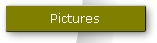 Pictures